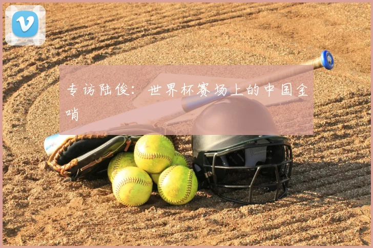 专访陆俊:世界杯赛场上的中国金哨